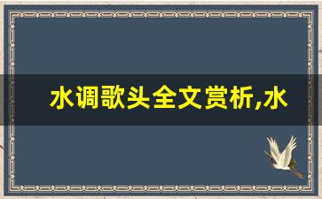 水调歌头全文赏析,水调歌头讲了什么,水调歌头经典句子-第1张图片-我的生活随想