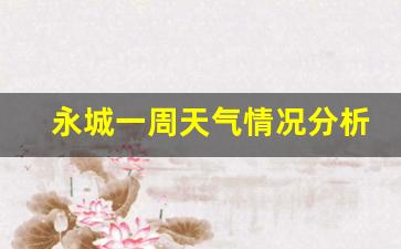 永城一周天气情况分析报告最新_永城一周天气查询