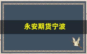 永安期货宁波(永安期货宁波分公司总经理换人)_https://www.xzdzcjn.com_上交所_第1张