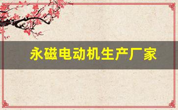 永磁电动机生产厂家(永磁电动机生产厂家有哪些)_https://www.dongshengweixin.com_深交所_第1张