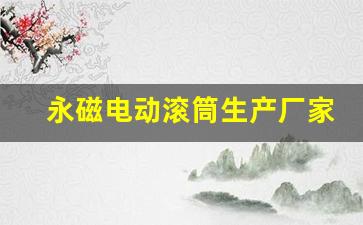 永磁电动滚筒生产厂家(永磁电动滚筒生产厂家排名)_https://www.hn-life.com_深交所_第1张