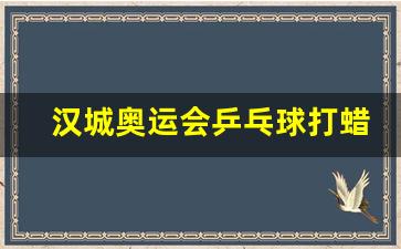 汉城奥运会乒乓球打蜡-2021奥运会用乒乓球
