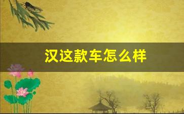 汉这款车怎么样(汉开高中怎么样)_https://www.hhem8.com_深交所_第1张