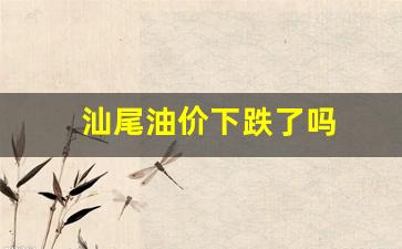 汕尾油价下跌了吗今天-汕尾油价下跌了吗