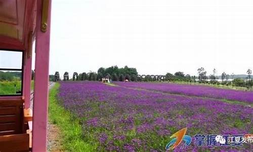 江夏纸坊到武汉高铁站怎么走_江夏区纸坊到少林寺旅游攻略自驾车旅游