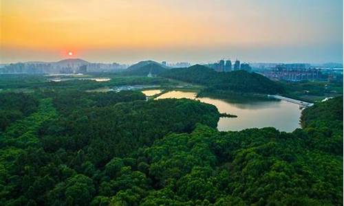 江夏区未来30天天气预报_江夏区过去一周天气记录查询