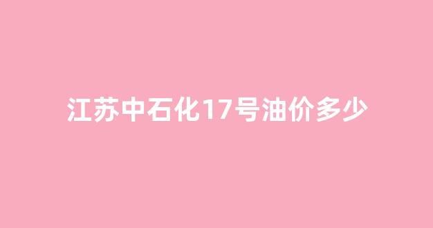 江苏中石化17号油价多少_江苏中石化17号油价多少一升