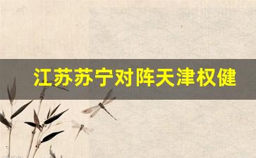 江苏苏宁对阵天津权健-足协杯苏宁对天津