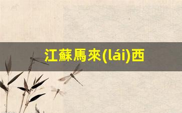 江蘇馬來(lái)西亞簽證(江蘇馬來(lái)西亞簽證中心地址)