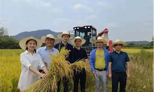 江西省樟树市一周天气_江西樟树市一周天气