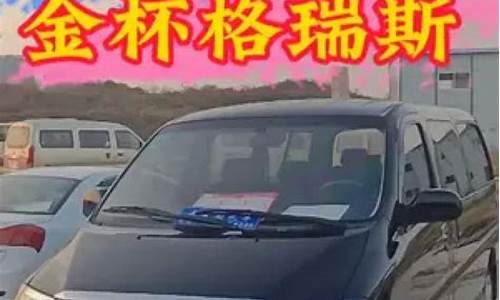 广东二手阁瑞斯9座_江门阁瑞斯二手车