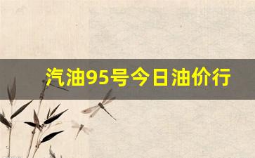 汽油95号今日油价行情-汽油95号今日油