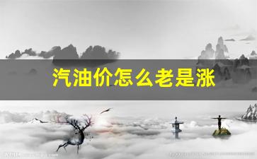 汽油价怎么老是涨起来-汽油价怎么老是涨
