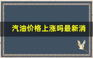 汽油涨价的最新消息_汽油价格上涨吗最新消息