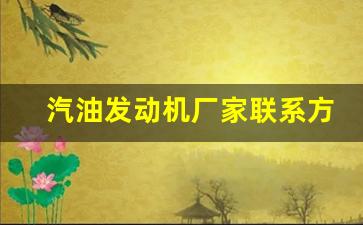 汽油发动机哪里有卖_汽油发动机厂家联系方式