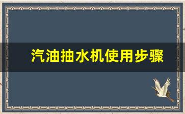 汽油抽水机使用步骤_汽油抽水机工作原理