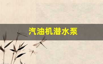 汽油机潜水泵新款_汽油机潜水泵