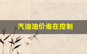 汽油价格受什么控制-汽油油价谁在控制