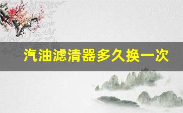 汽油滤清器多久换一次_汽油滤清器多久换一次多少钱