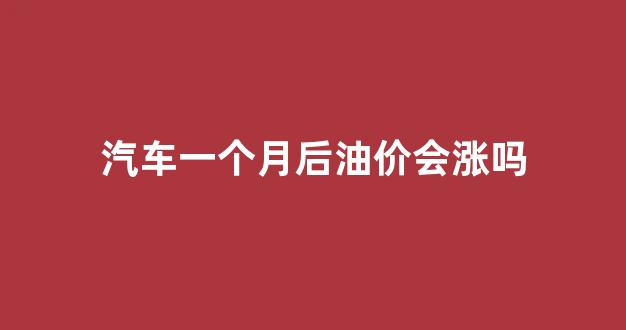 汽车一个月后油价会涨吗_车子一个月的油耗