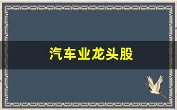汽车业龙头股(汽车企业龙头)_https://www.huakunhengjia.com_金融资讯_第1张