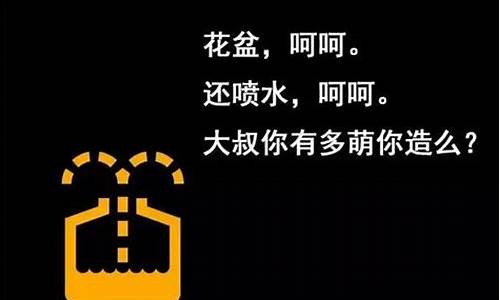 指示灯 汽车_汽车指示灯笑话