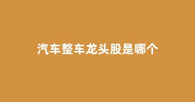 汽车整车龙头股是哪个(国内整车龙头)_https://www.wguangz.com_郑商所_第1张