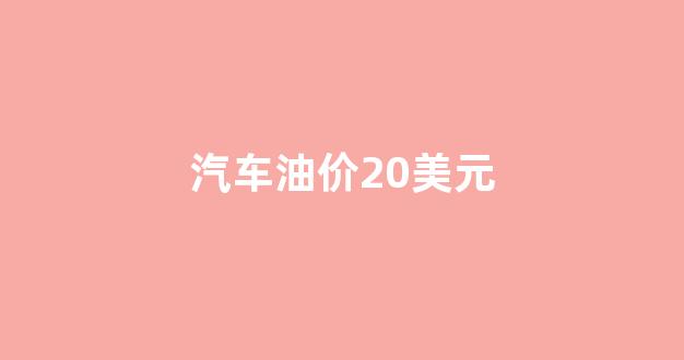 汽车油价20美元多少钱_汽车油价20美元