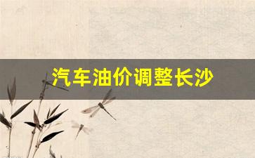 长沙汽油降价最新消息-汽车油价调整长沙