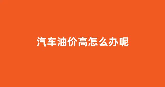 汽车油价高怎么办呢_汽车油价高怎么办呢