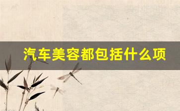 汽车美容都包括什么项目(汽车美容都包括什么项目主要特征)_https://www.qldgs.com_黄金期货_第1张
