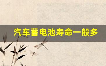 汽车蓄电池寿命一般多久换一次(汽车蓄电池寿命多少需要更换)_https://www.jumanxin.com_深交所_第1张