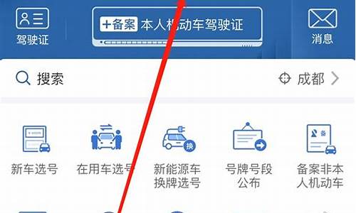 汽车违章查询系统-汽车违章查询官方