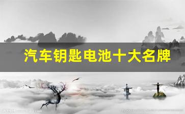 汽车钥匙电池十大名牌排名品牌(车钥匙电池十大牌子)_https://www.taocizhiliang.com_装修公司_第1张