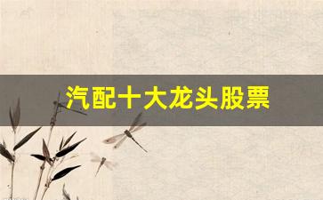 汽配十大龙头股票(汽配股 龙头)_https://www.dcjwmf.com_郑商所_第1张