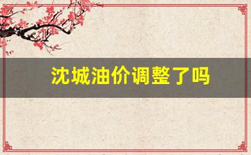 沈阳实时油价查询-沈城油价调整了吗