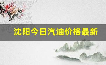 沈阳今天汽油价格92多少钱-沈阳今日汽油价格最新消息