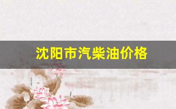 沈阳市汽柴油价格查询-沈阳市汽柴油价格