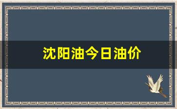 沈阳油今日油价-今日沈阳油价最新价格