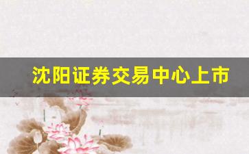 沈阳证券交易中心上市的证券(沈阳证券市场)_https://www.hhem8.com_科创板_第1张