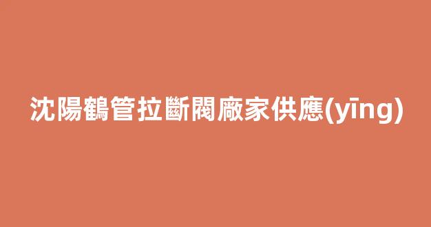 沈陽鶴管拉斷閥廠家供應(yīng)(沈陽鶴管拉斷閥廠家供應(yīng)商)(1)