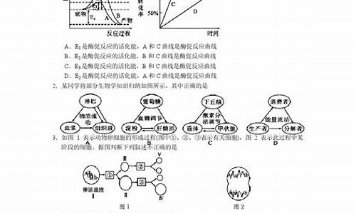 沙市中学高考成绩2018_沙市中学2017高考成绩