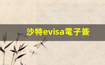 沙特evisa電子簽證官網(沙特旅游簽證官網)
