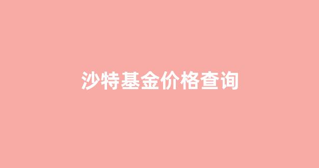沙特基金价格查询_沙特财富基金