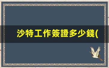 沙特工作簽證辦理費(fèi)用一覽，詳解每人所需支付的簽證費(fèi)用標(biāo)準(zhǔn)