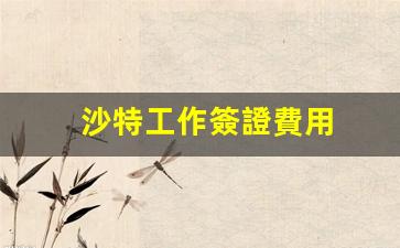 沙特2023最新工作簽證費用政策解析及收費標(biāo)準(zhǔn)一覽