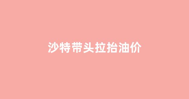 沙特国际油价_沙特带头拉抬油价