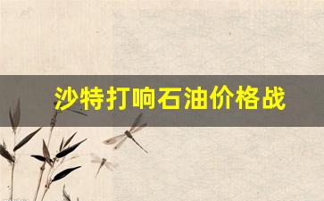 沙特23年石油供应-沙特打响石油价格战