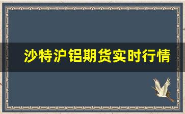 沙特沪铝期货实时行情(伦铝期货实时行情)_https://www.jyywjc.com_股票行情_第1张