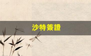 沙特簽證(沙特簽證需要什么材料)